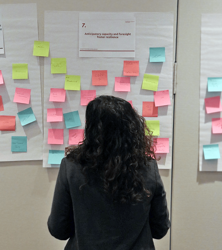 Resilience Science Must-Knows workshop DC