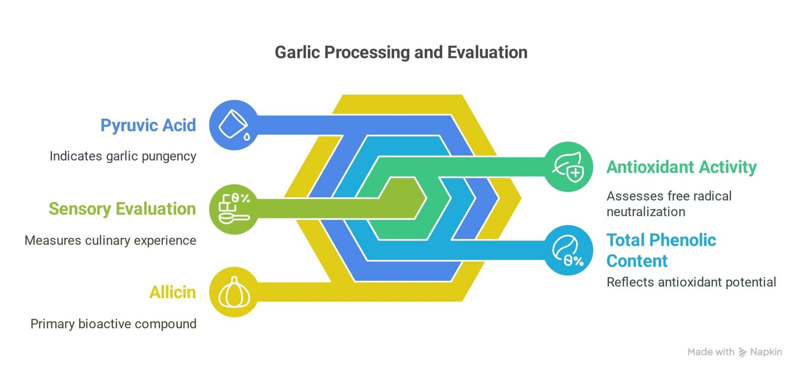 Garlic Processing and Evaluation