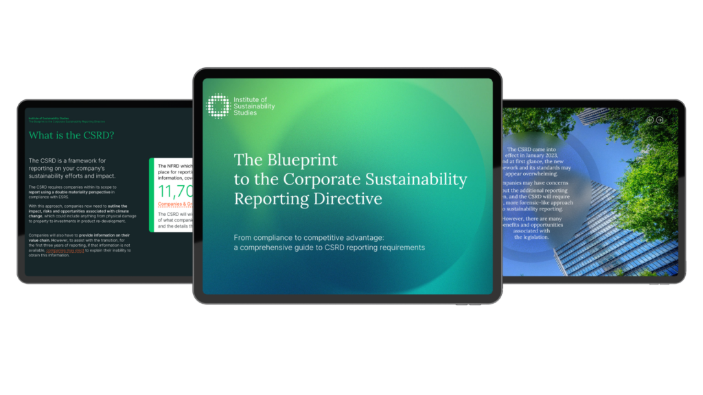 CSRD ebook mockup 2