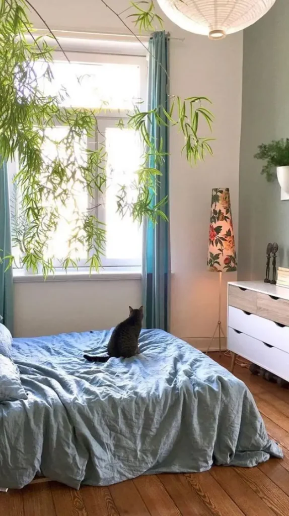 Bedroom Renovation Ideas Bedroom Renovation Ideas