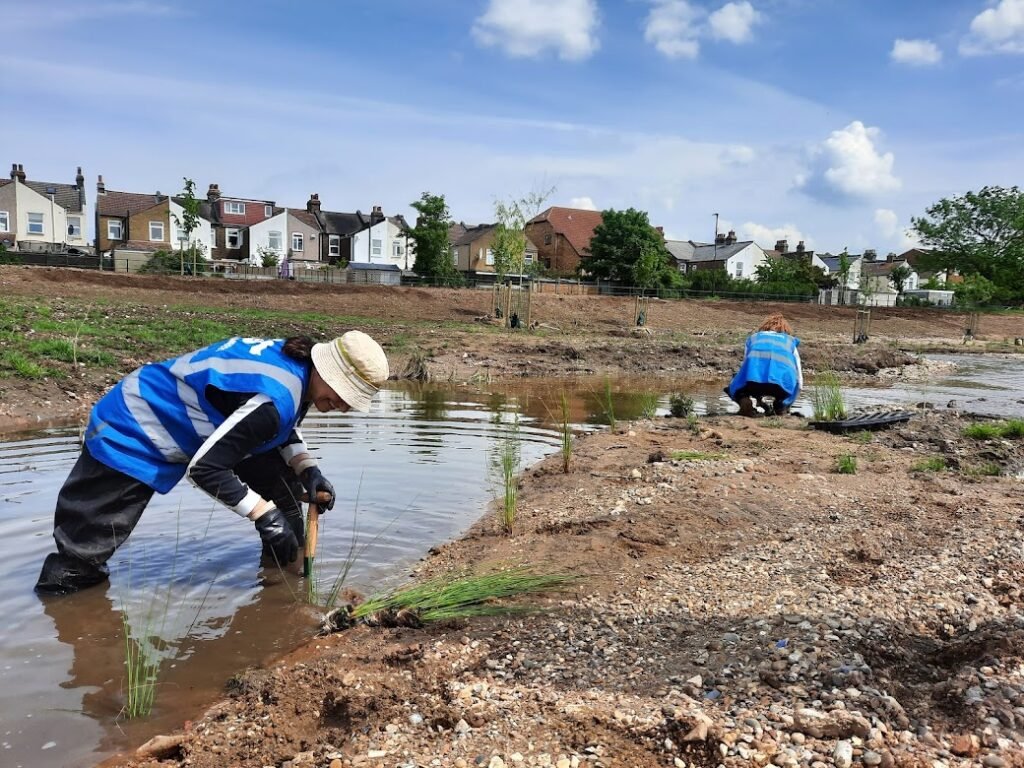 Volunteers clean up a local river, protecting biodiversity
