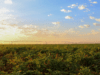 1-threemile-canyon-farmssunrise-over-potato-field