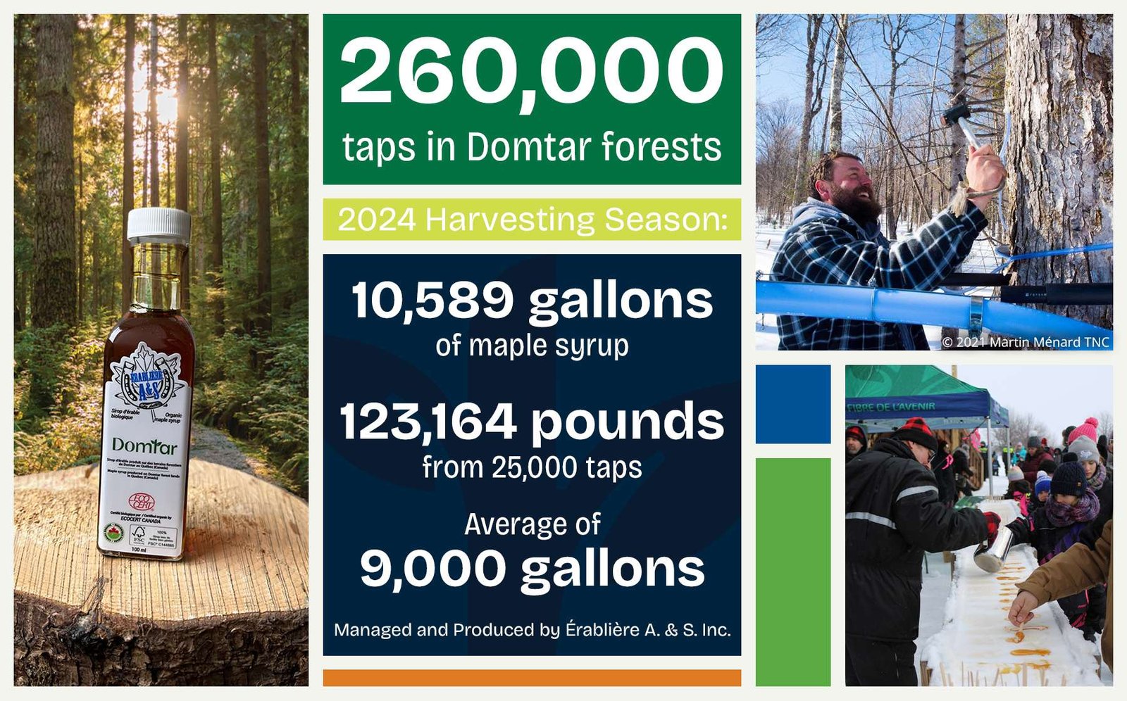 Infographic on Windsor Mill partnership with maple syrup producers. There are 260,000 taps on Windsor Mill forestland. One maple syrup producer harvested 123,164 pounds of maple sap from 25,000 taps, resulting in 10,589 gallons of maple syrup in 2024. Érablière A & S Inc. has averaged 9,000 gallons per year since partnering with Domtar.