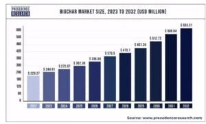BIOCHAR market