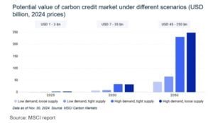 carbon market
