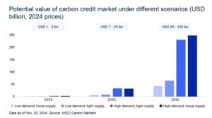 Carbon credits market
