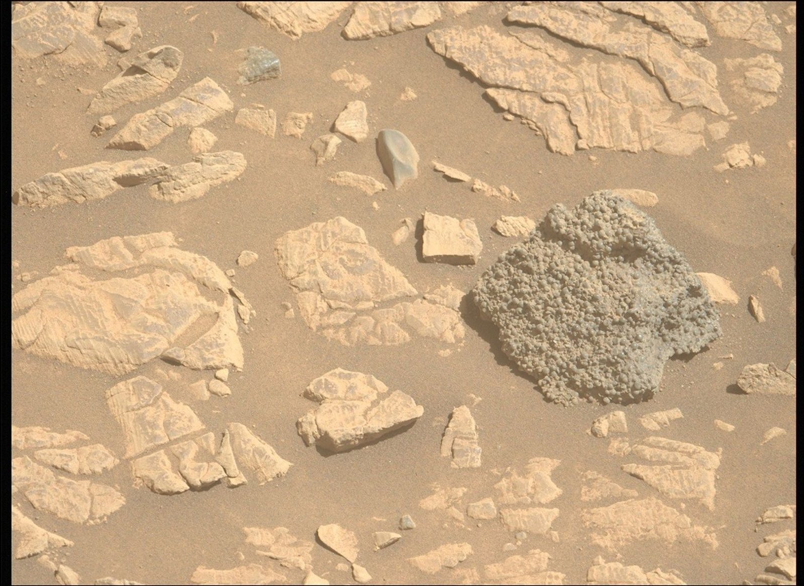 A color photo from the Martian surface shows pale brownish-orange fine soil with several small and medium sized rocks poking above the surface, lighter-toned than the surrounding soil, mostly flat with varied edges and cracks. One exception is a rock that stands out at the middle right of the image, dark gray and slightly larger than everything else around, vaguely diamond-shaped — from the viewer’s vantage point — and covered everywhere on its surface in tiny bumps.