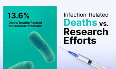 Part of a bar chart showing that 13.6% of global deaths are related to a bacterial infection.