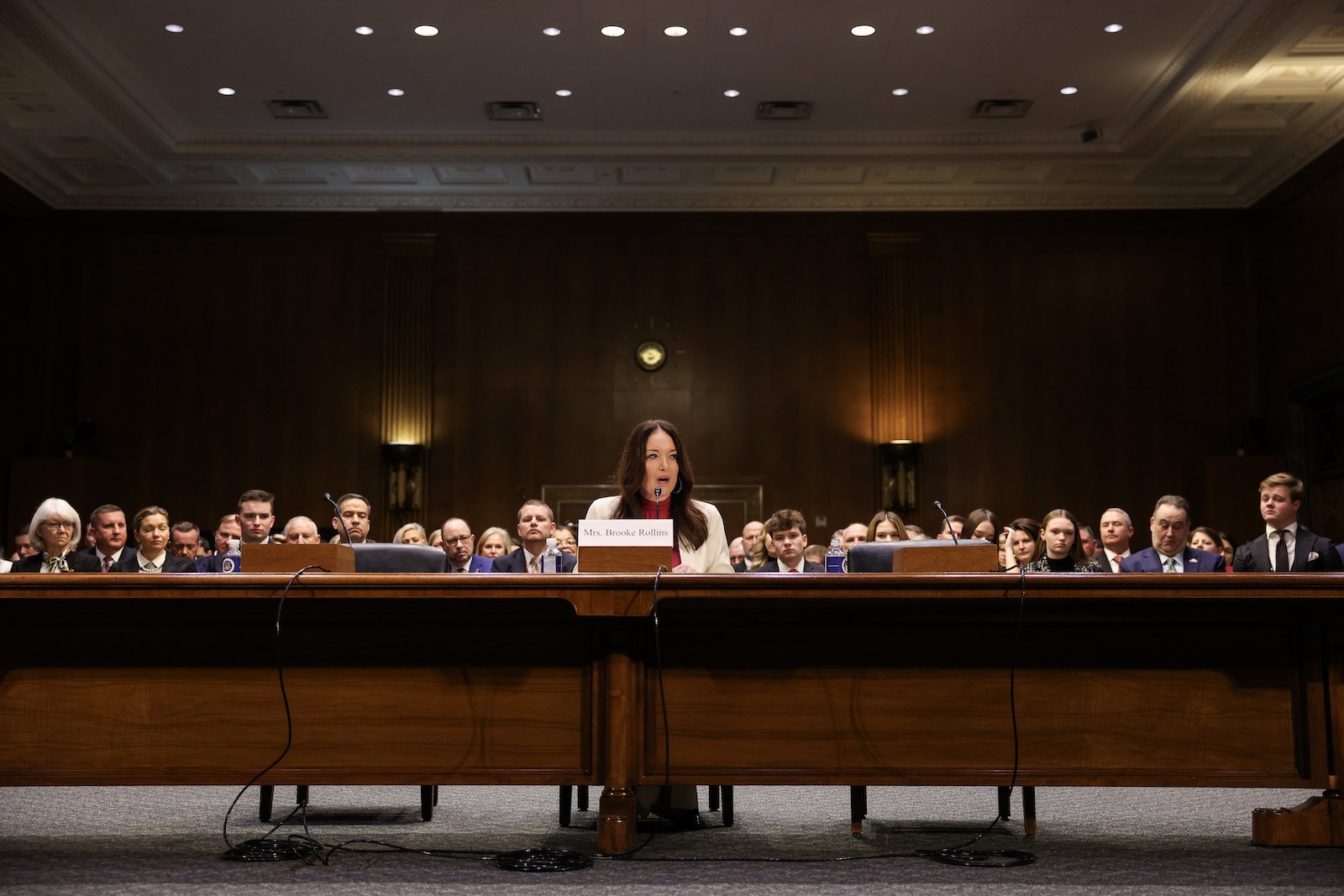 A woman sits at a table i front of the Senate