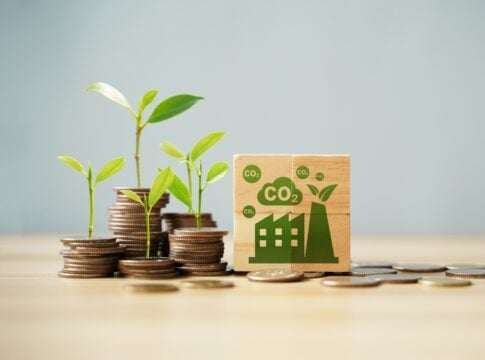 VCM Makeover in 2024: Carbon Credit Trading Drops 25%, Removals Soar 381%