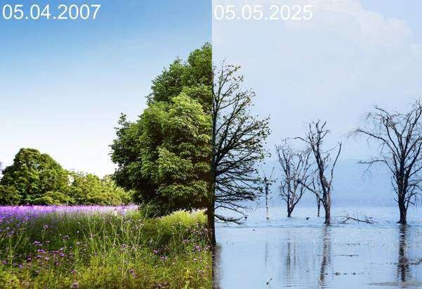 Adding Datestamps to Photos