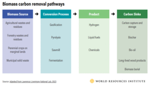 biomass carbon removal pathways WRI