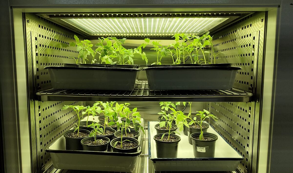 BioPrime plant growth chamber