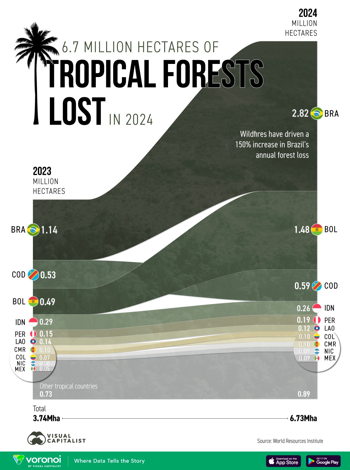 In this graphic, we show the loss of tropical forest cover by country in 2024.