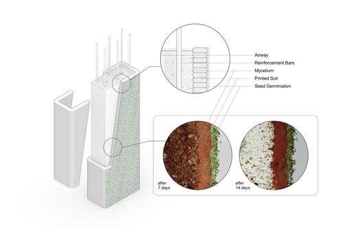 The schematic diagram to develop a wall section based on eco-resilient tectonics.