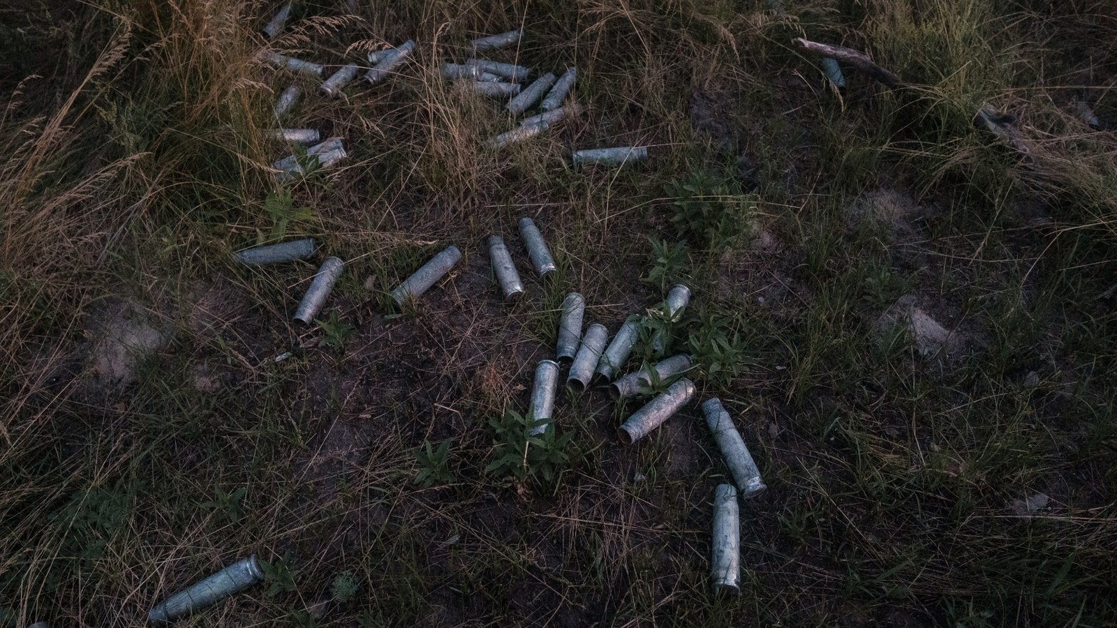 A view of shelling scraps in Serebryansky Forest, in Luhansk, Ukraine in June 2024.