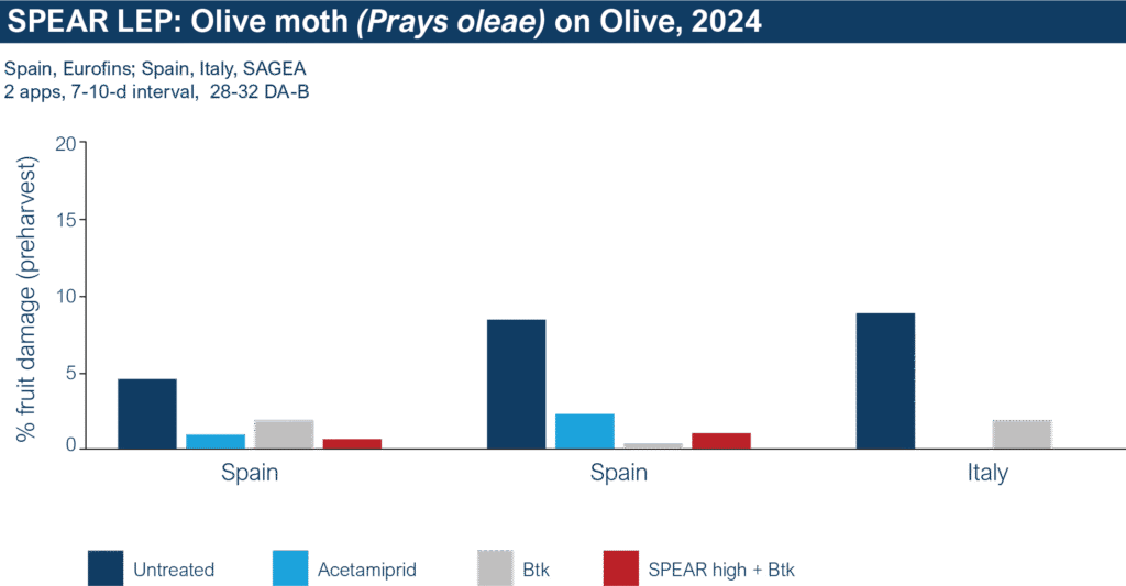 SL Olive Moth Chart SL Olive Moth Chart