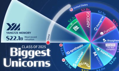 A nightingale rose chart that shows the biggest unicorns that were created in 2025