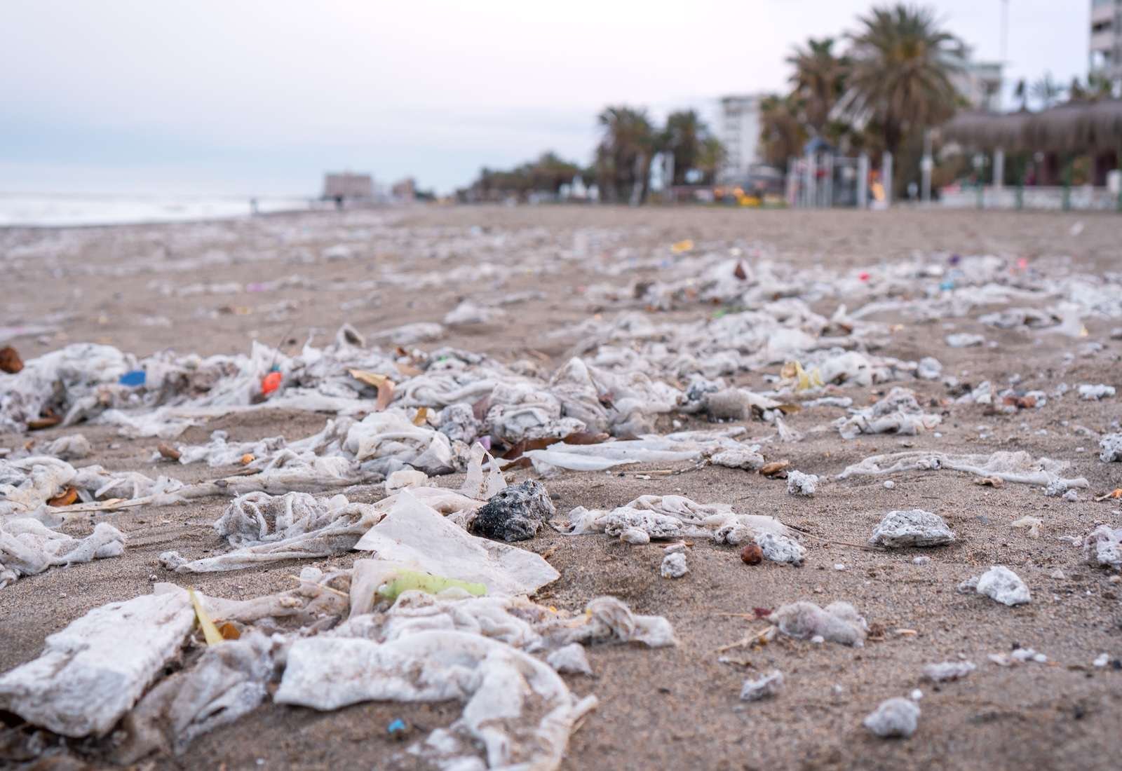 Plastic litter strewn across a sandy beach, with palm trees in the background