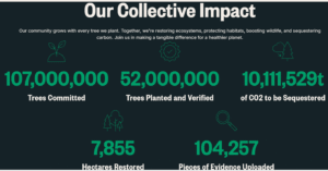 vertiree impact in numbers