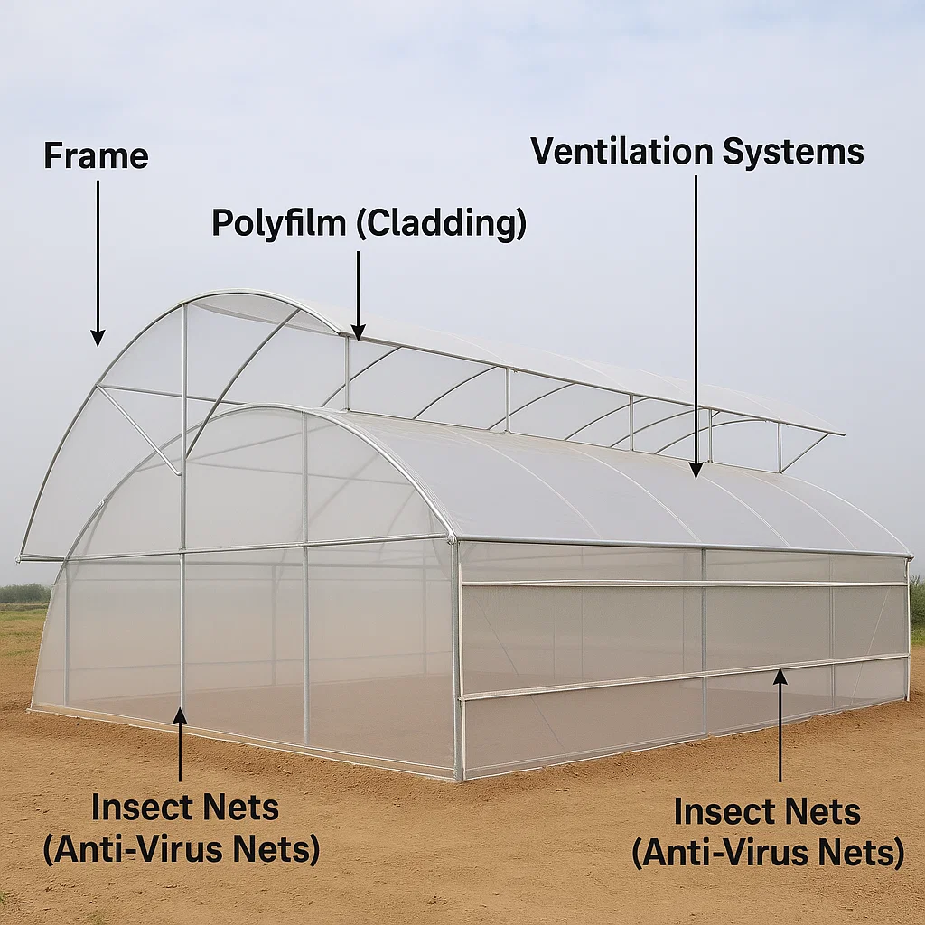 Polyhouse Structure & Setup for Tomato Cultivation