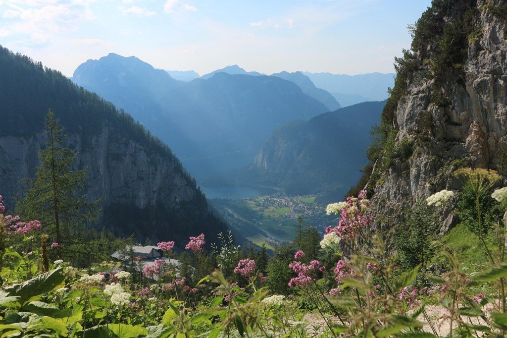 A landscape scene with flowers in the foreground and mountains in the background/.