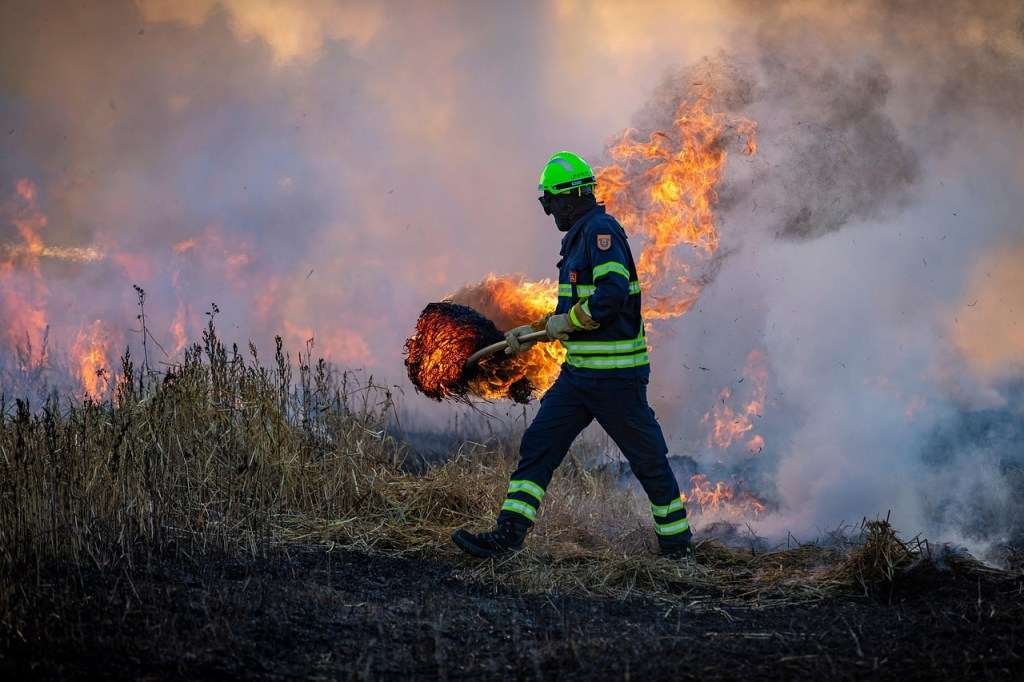 Firefighter in foreground uses a tool to transport a burning shrub as smoke dominates the background.