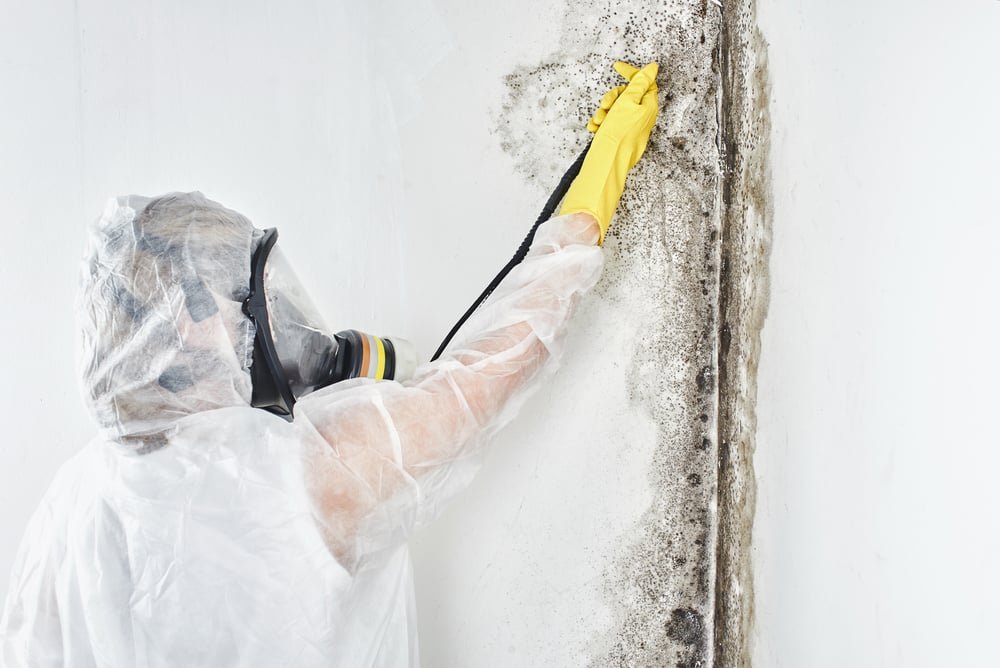 mold control company