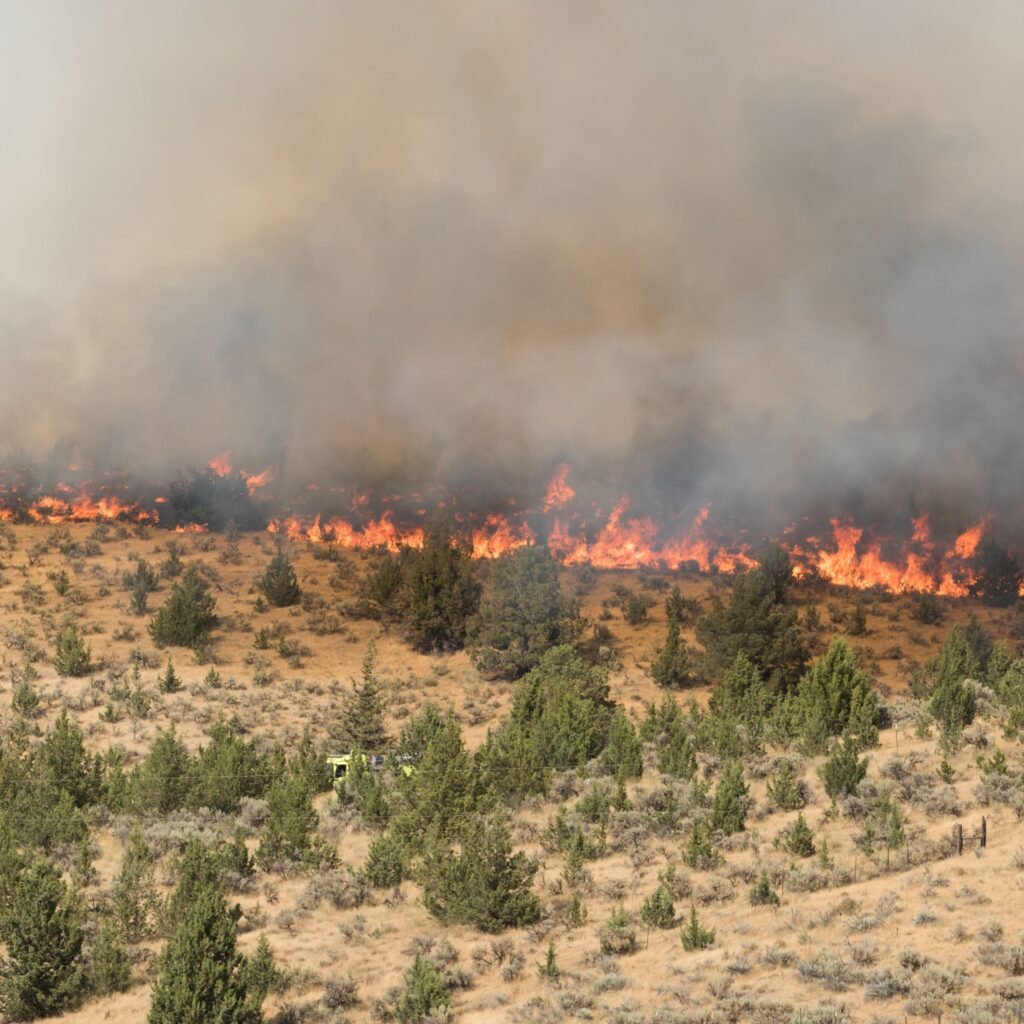 What Is Fire Weather? Is it Preventable?