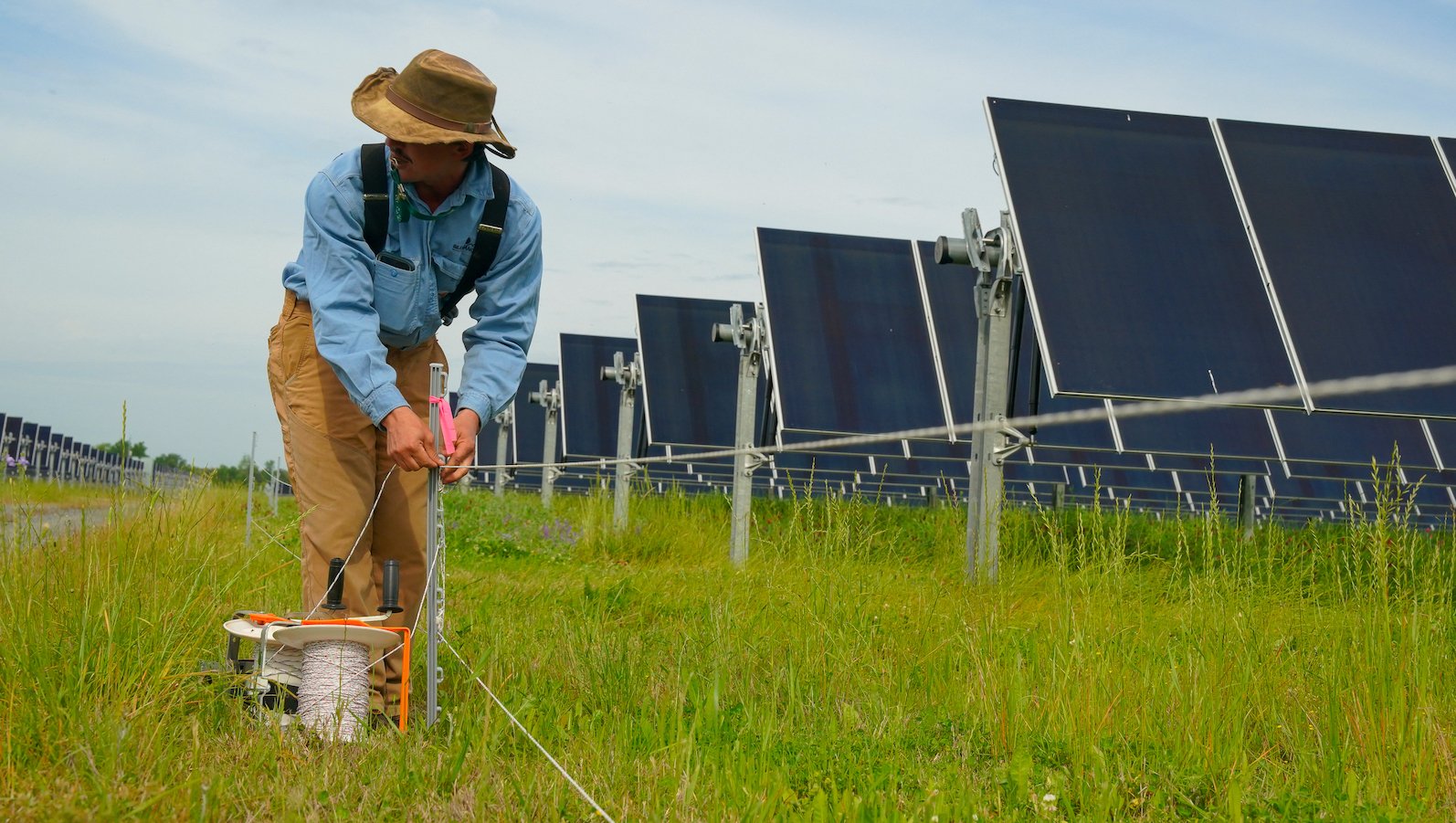 Man holds string on a solar farm.
