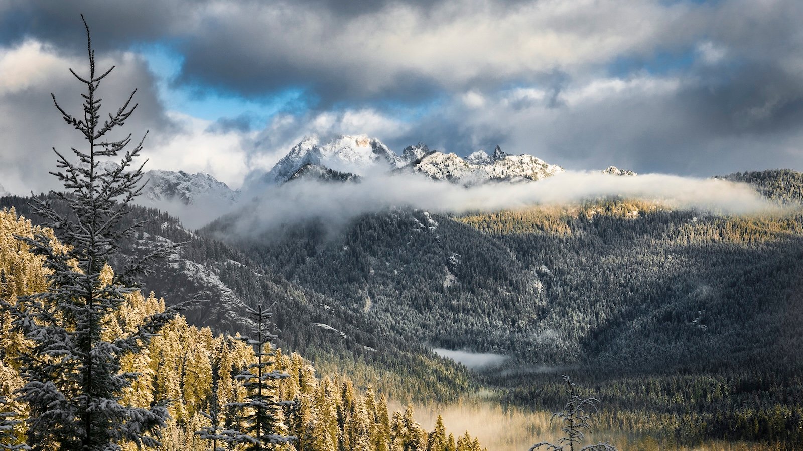 Landscape view of a mountain with trees in foreground. Mixed clouds partially obscure the mountain.