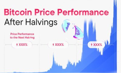 Preview of area chart showing bitcoin price performance after halvings