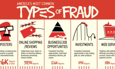 A visualization showing the most common types of fraud in the U.S.