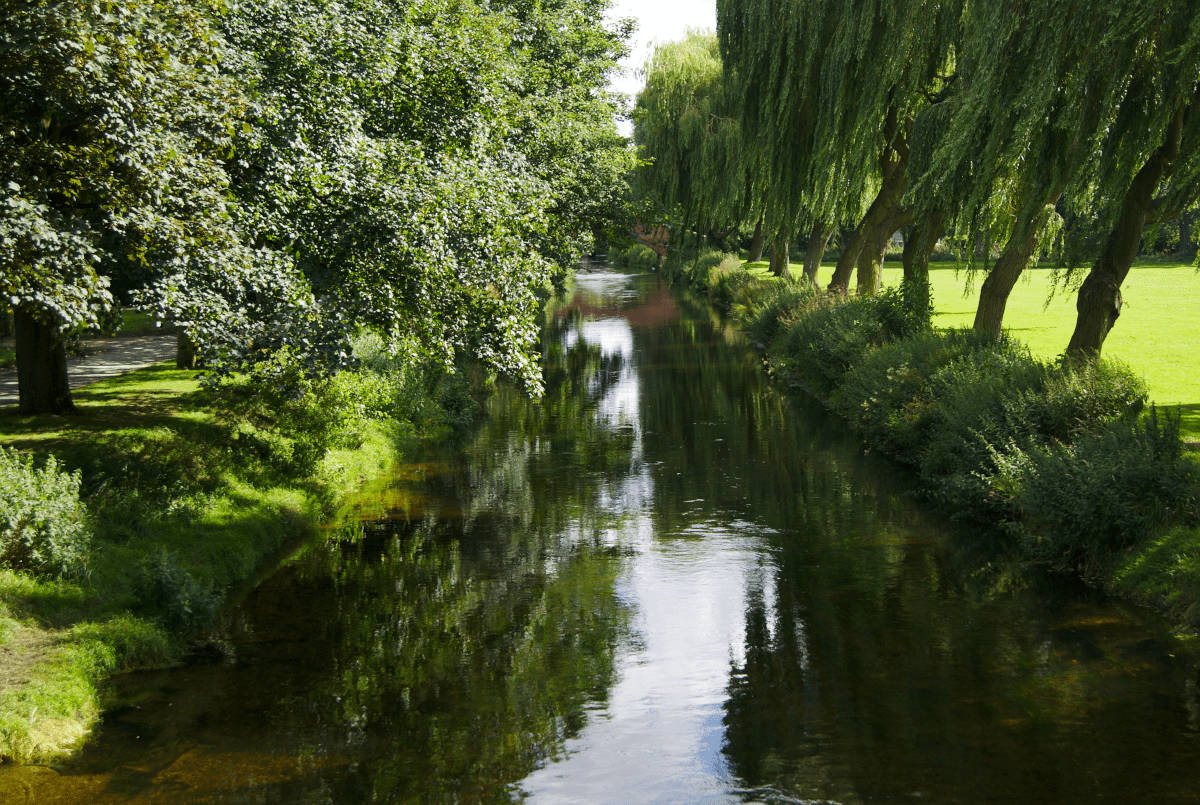 A view down the length of a river in a temperate location such as England, with trees on either bank, extending down its length and into the distance