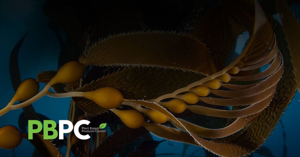 plant-based products can be made from sustainably harvested seaweed