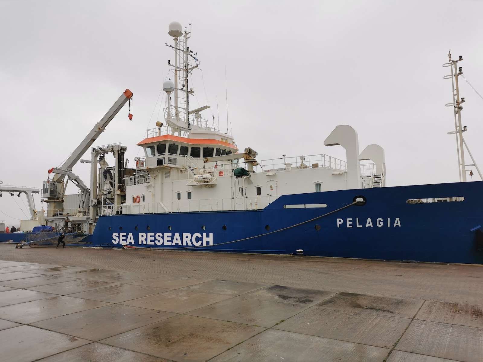 A large blue and white research ship, docked and photographed from the side. White letters on its side read "sea research" and "Pelagia," the ship's name.