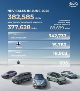 BYD NEV sales