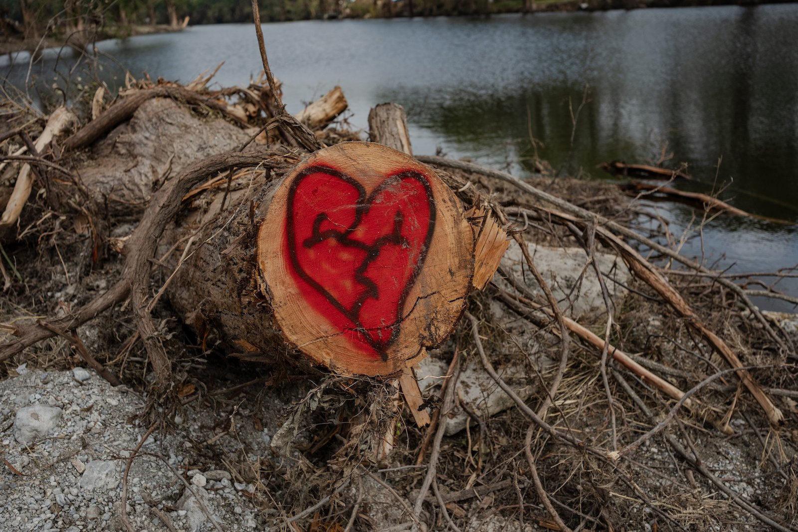 a spray painted broken heart on a tree branch
