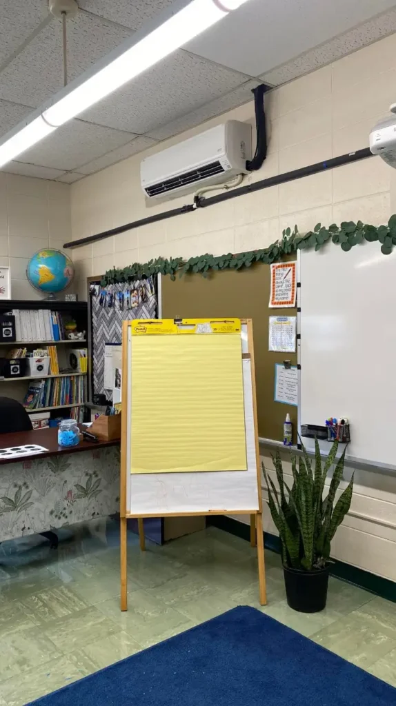 plants Back to School Decorations plants Back to School Decorations