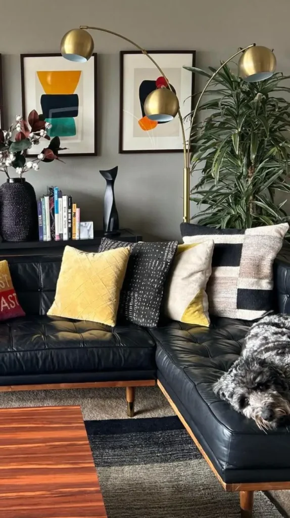 Plants Black Couch Living Room Plants Black Couch Living Room