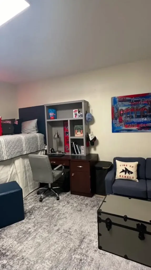 Essential Boys Dorm Room Ideas for Maximum Comfort Essential Boys Dorm Room Ideas for Maximum Comfort