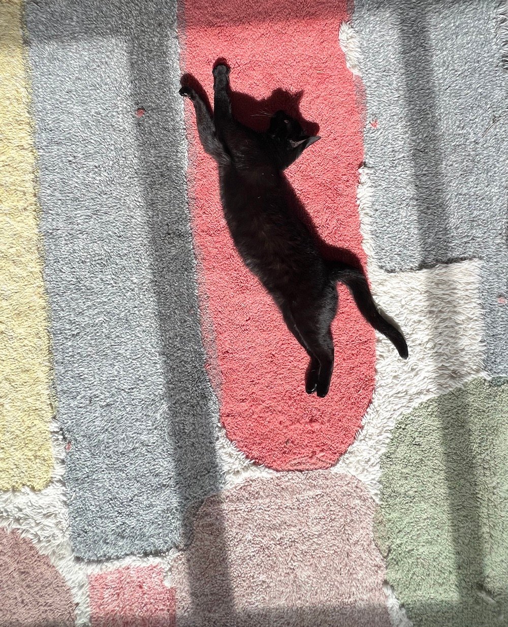 Black cat laying on a colorful, color blocked Lorena Canala washable rug.