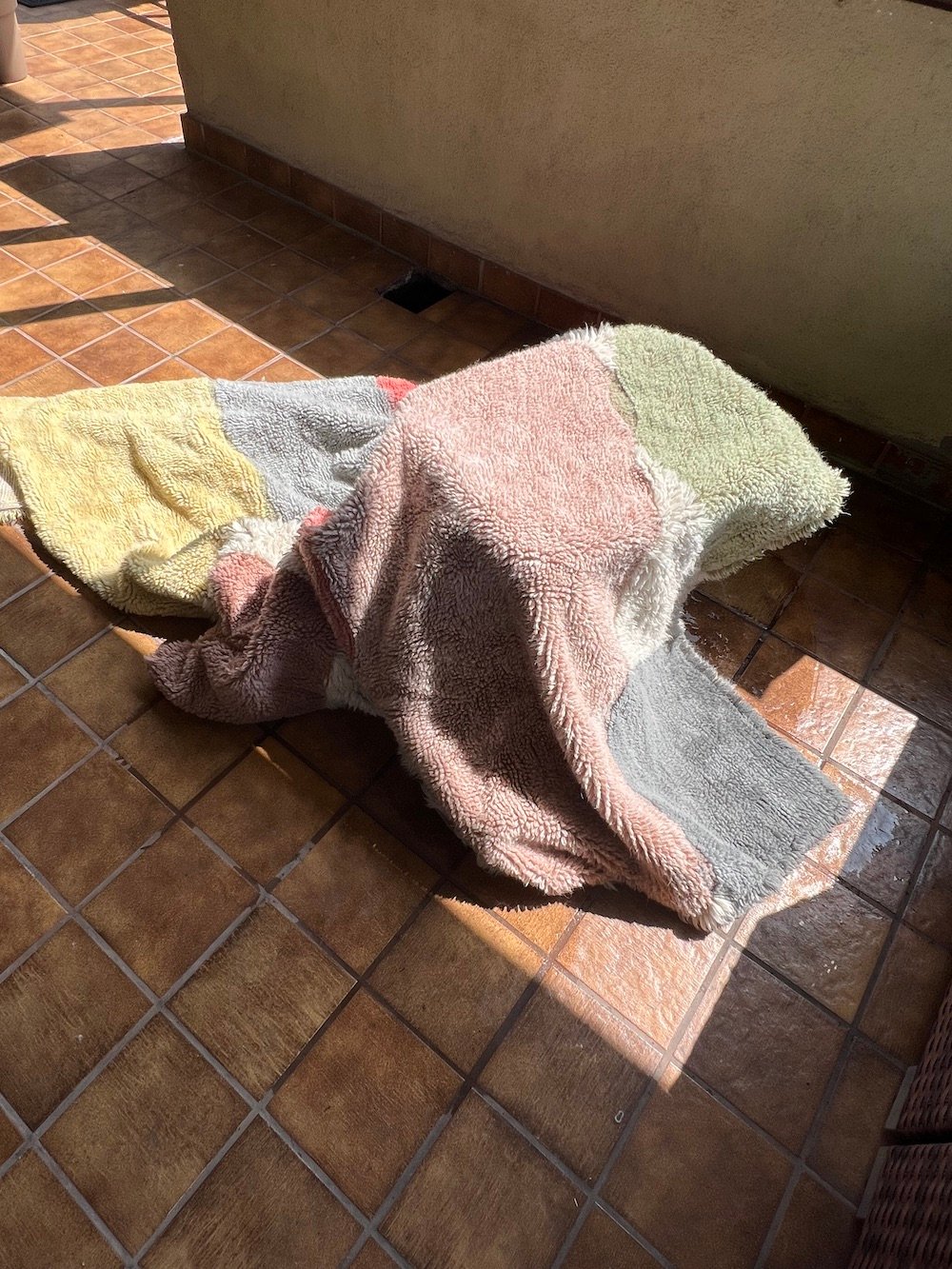 A washable Lorena Canals rug in a laundry basket.