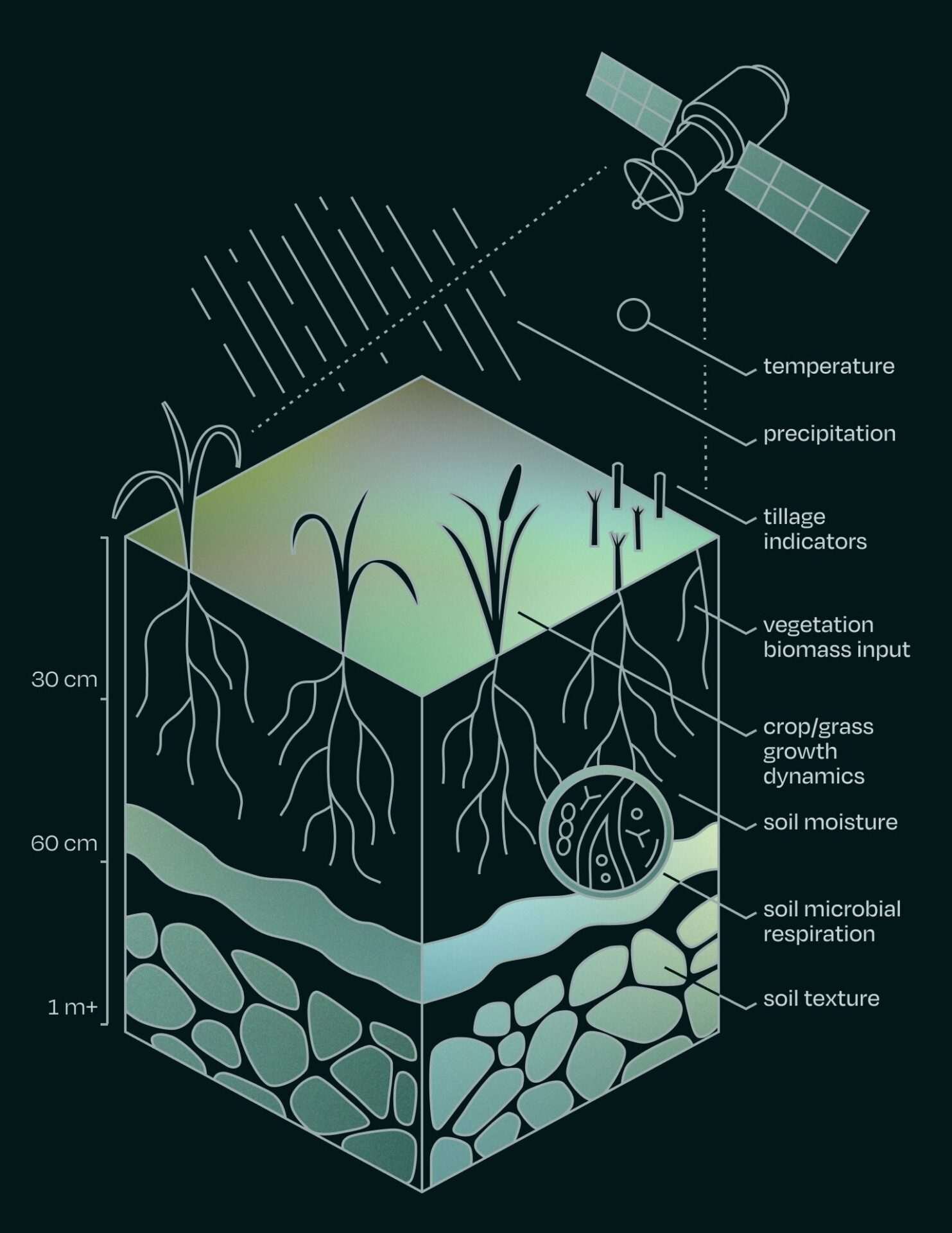 Perennial Digital Soil Mapping Infographic