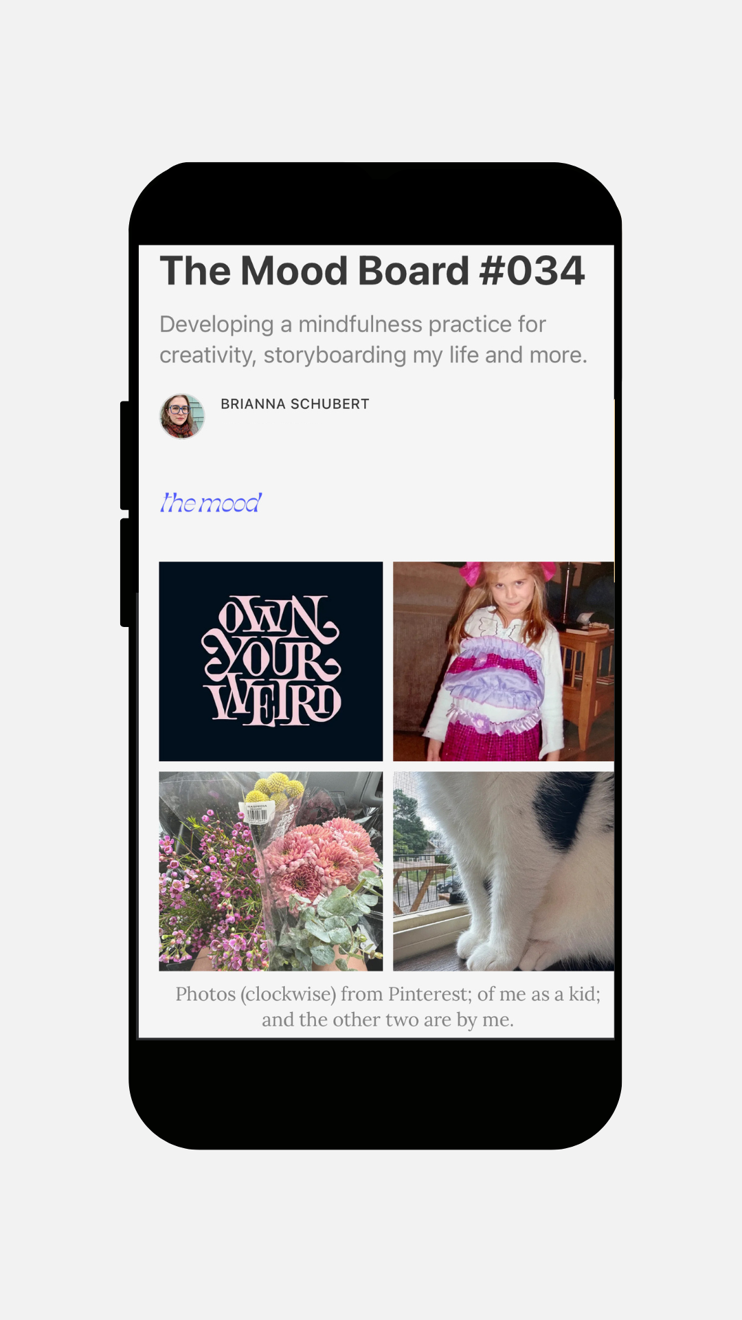 A smartphone screen displays a blog post titled "The Mood Board #034" with photos of a child, flowers, a cat, and text reading "OWN YOUR WEIRD.