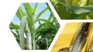 Cooking oil-based resins from TotalEnergies power sustainable synthetic rubber for Continental