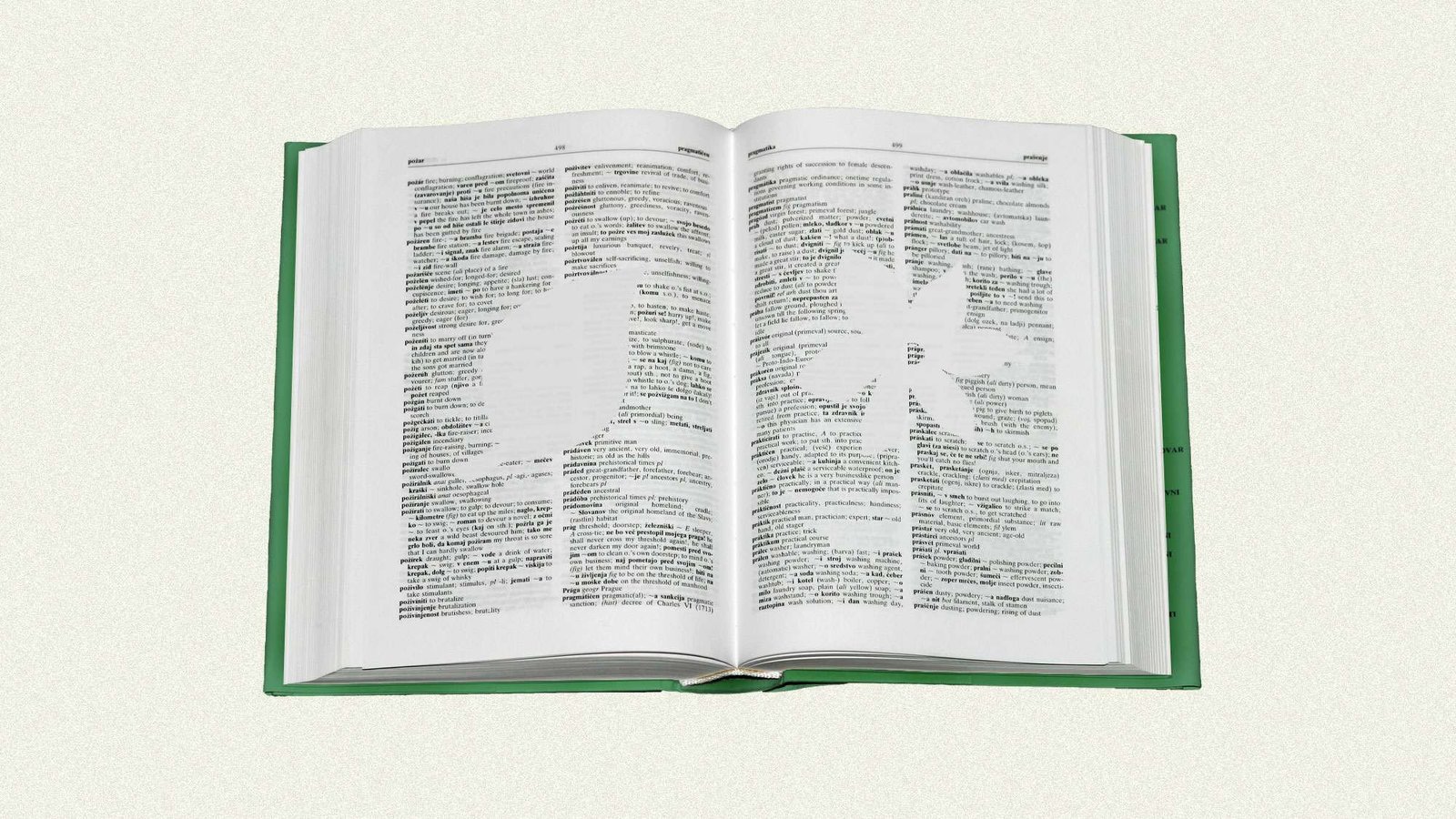 Open dictionary with blank silhouettes of leaf and flower