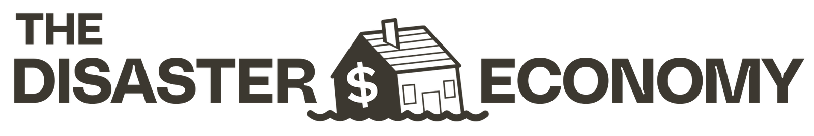 The Disaster Economy