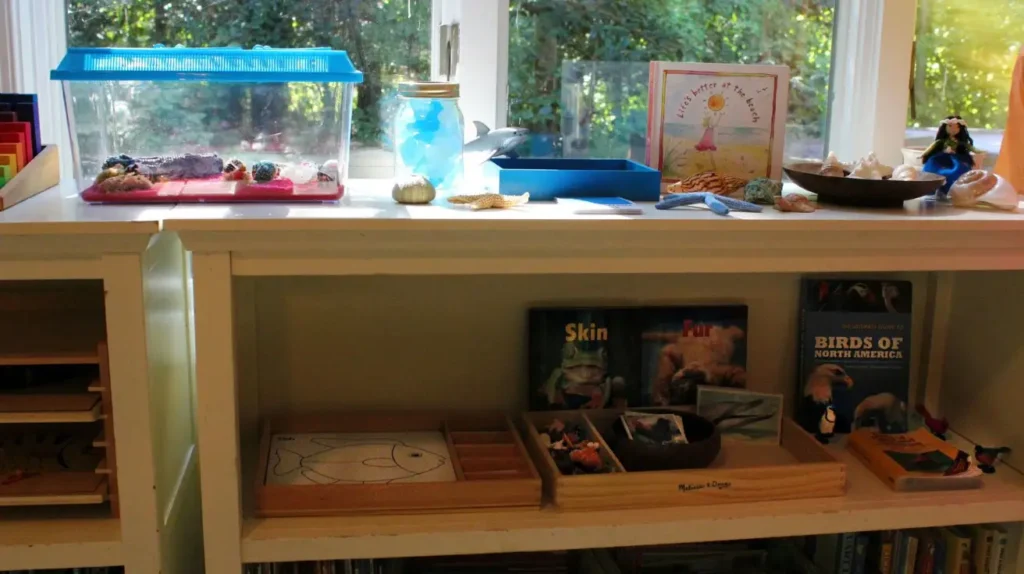 homeschool science room homeschool science room