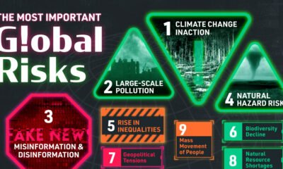 A visualization showing the top global risks the world is facing.